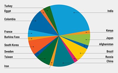 Pie Chart showing the home countries of our 2025 international students. More than a dozen countries are represented.