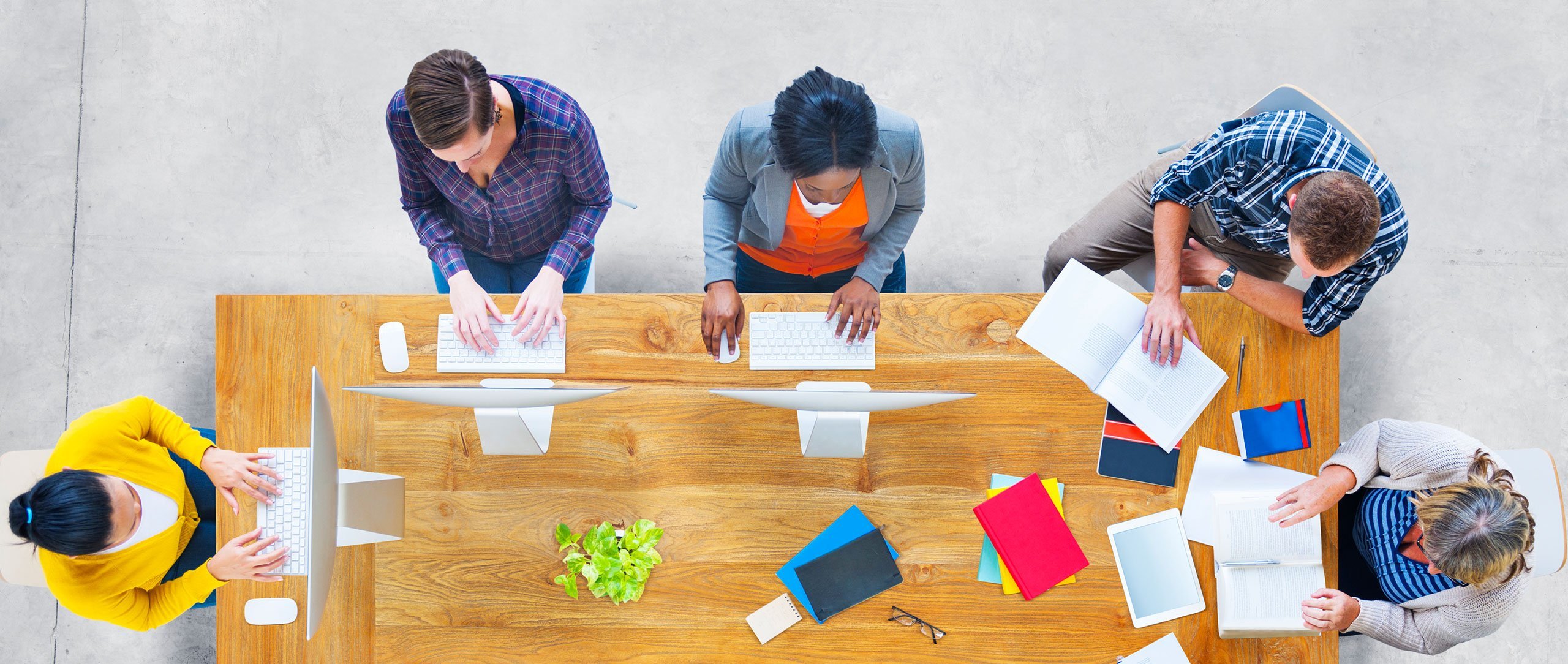 Project and Program Management